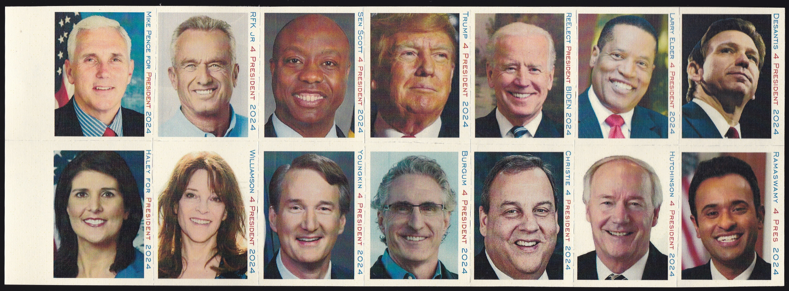 2024 Political Poster Stamps The Christmas Seal & Charity Stamp Society